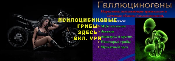 дмт Абаза