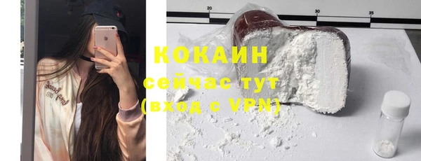 дмт Абаза
