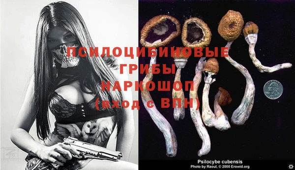 дмт Абаза