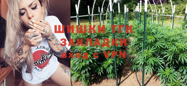 дмт Абаза