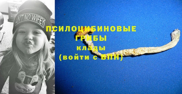 дмт Абаза