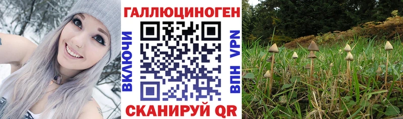 наркошоп  Горячеводский  Галлюциногенные грибы Cubensis 
